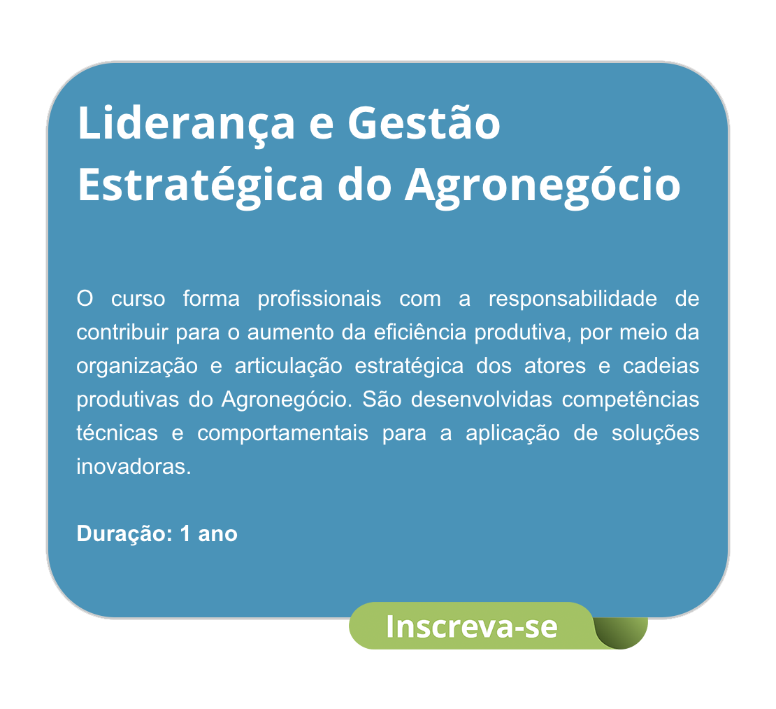 Liderança e Gestão Estratégica